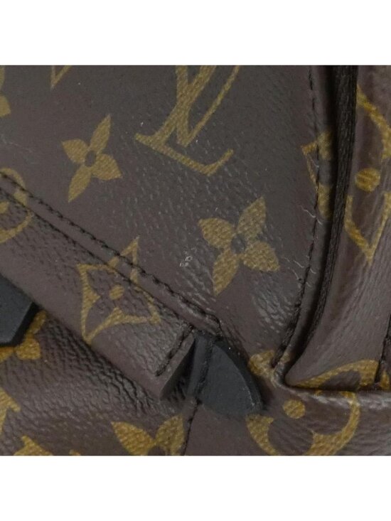 Louis Vuitton Monogram Palm Spring Backpack Mini Sac main image 8